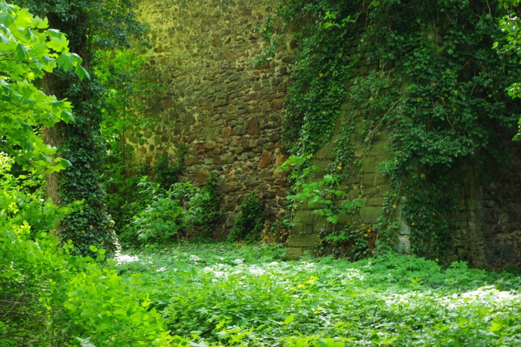 Burg Giebichenstein