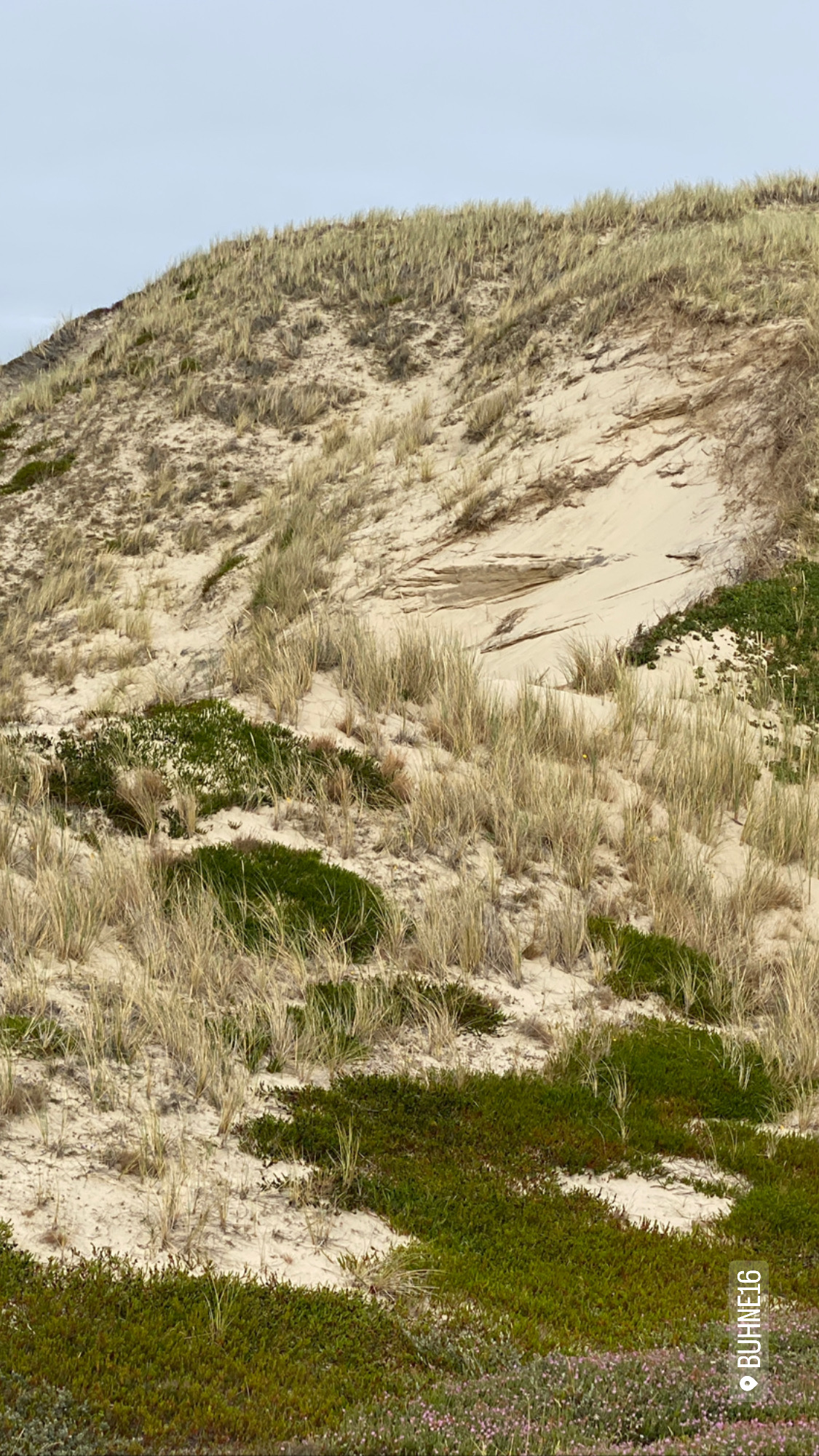 20F50E3D-3D9A-469A-A53F-BCFB3456ED03