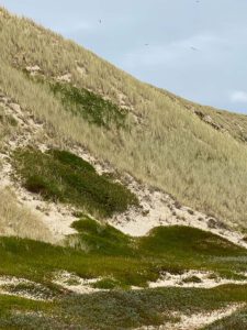 Just-take-a-look Berlin - Buhne 16 - Sylt