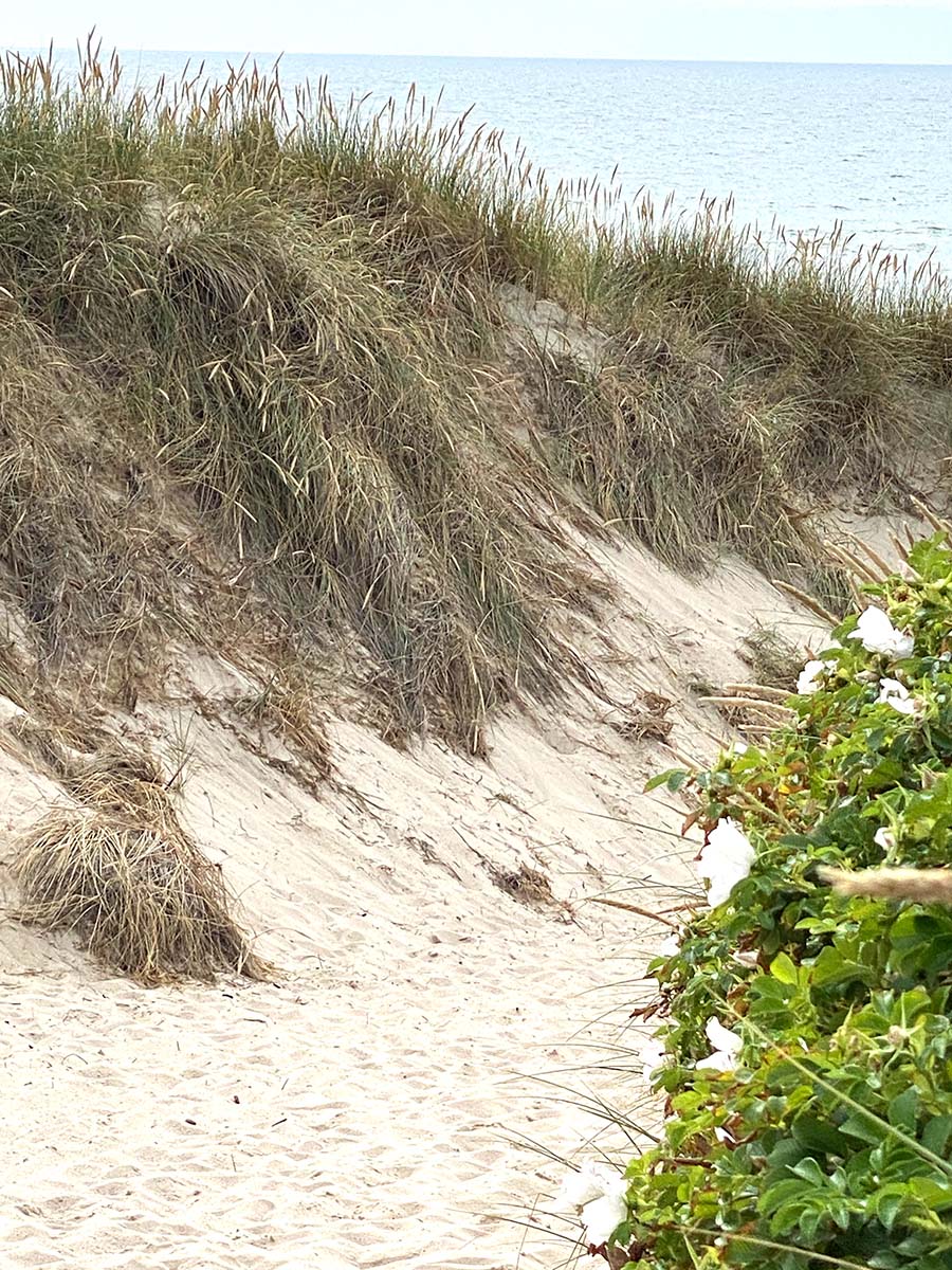 Just-take-a-look Berlin - Buhne 16 - Sylt2