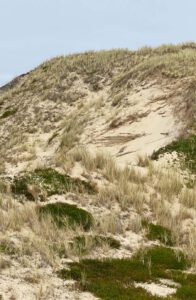 Just-take-a-look Berlin - Buhne 16 - Sylt8