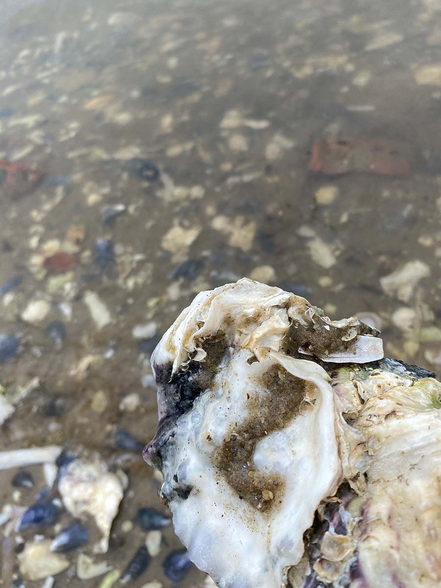 Just-take-a-look Berlin - Nordsee 3jpg