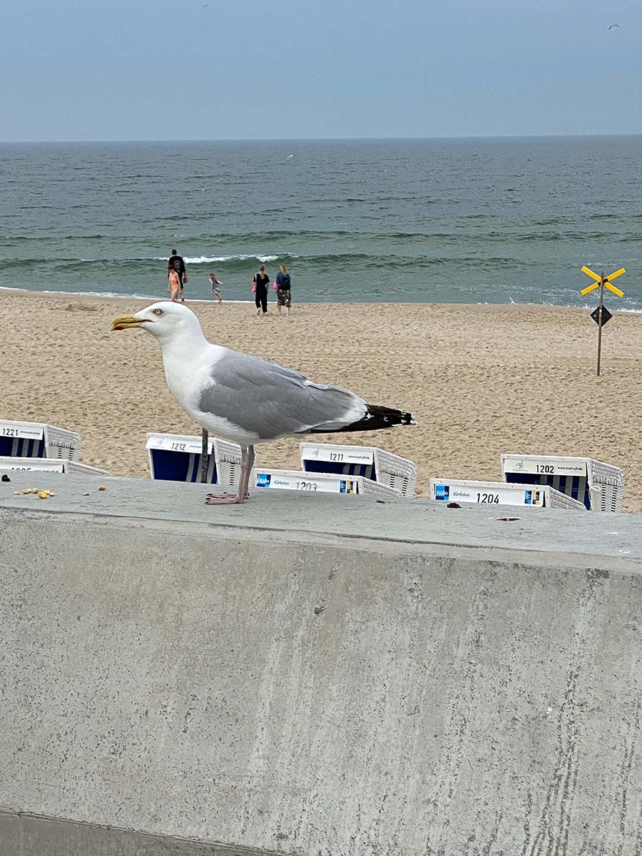 Just-take-a-look Berlin - Nordsee - Sylt 