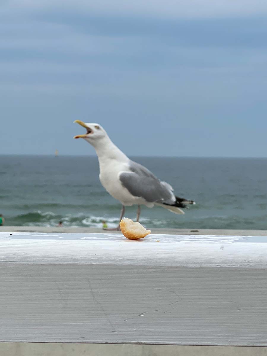 Just-take-a-look Berlin - Nordsee - Sylt 1