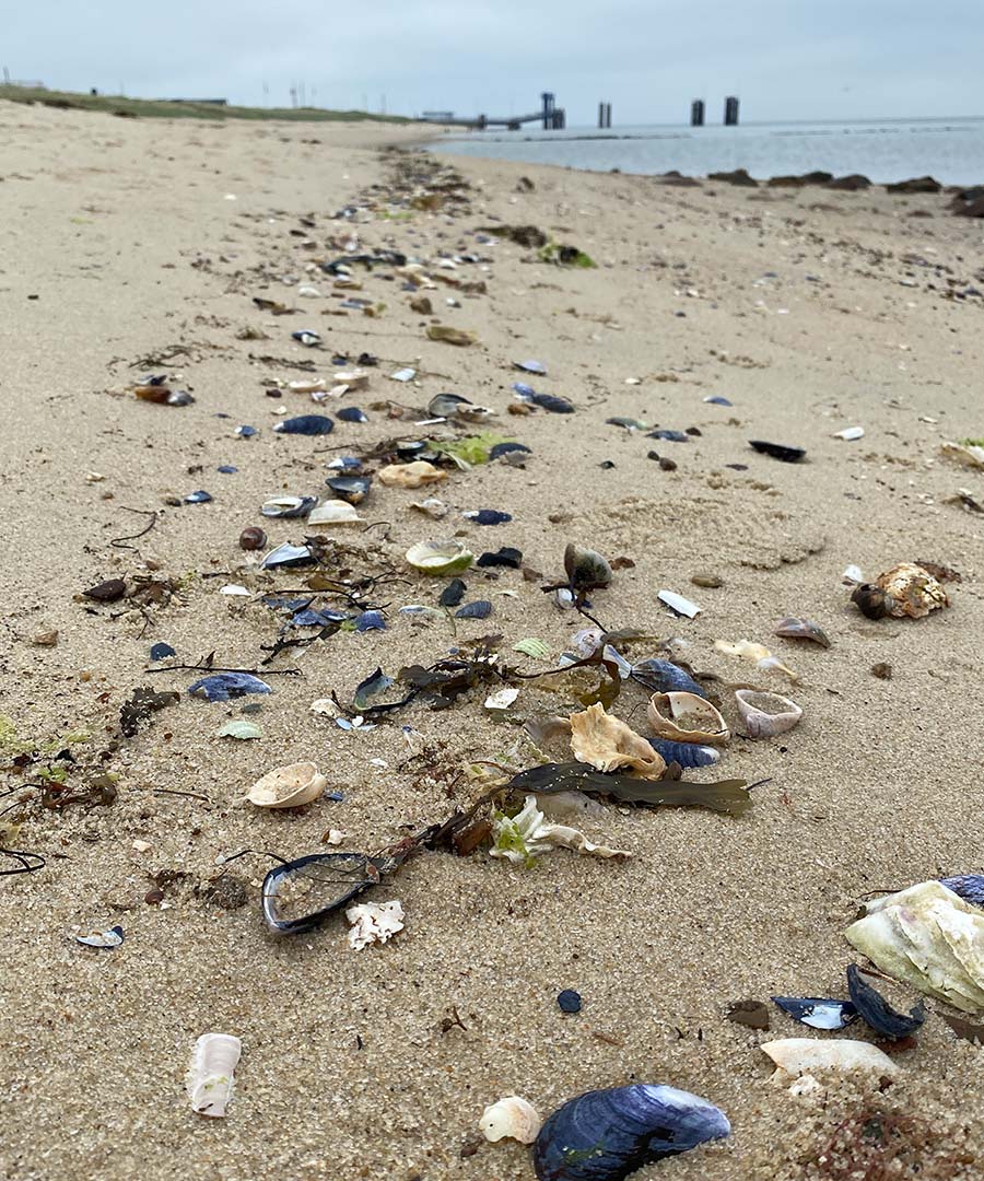 Just-take-a-look Berlin - Nordsee - Travel 22