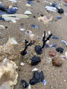 Just-take-a-look Berlin - Nordsee - Travel 23