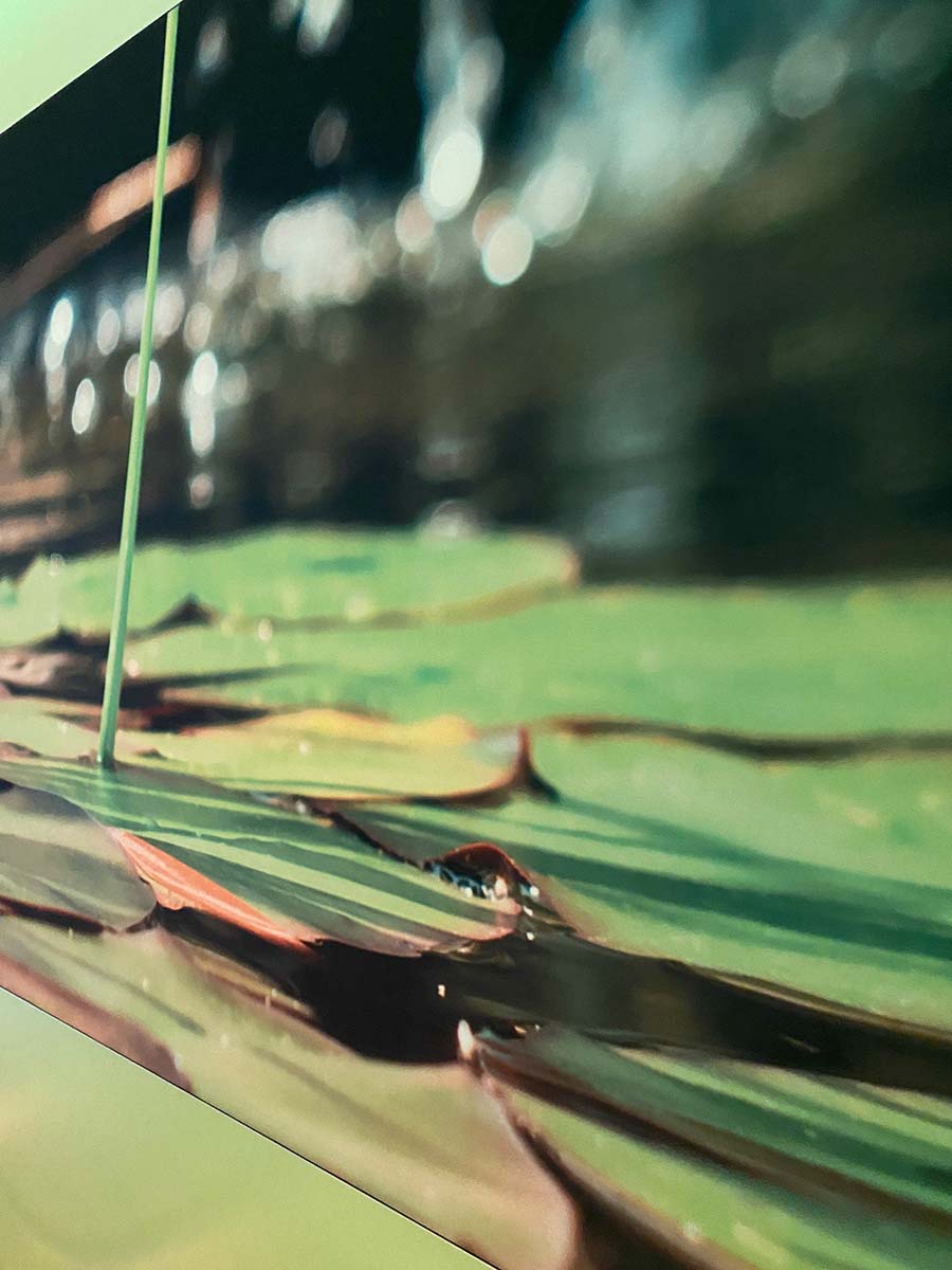 Just-take-a-look Berlin - Bad Saarow Therme 9