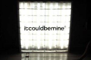 Just-take-a-look.berlin-Streifzug-durch-Mitte-Tag-10_3-768x512